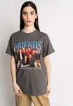 Friends Tee - Grey