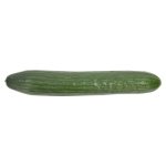 Cucumbers English