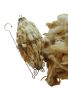 Alpaca Fibre Bird Home Builder