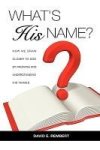 What& 39 S His Name? Hardcover