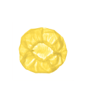 Disposable Mop Caps