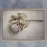 Everlasting 6 Art Print - A2 Framed Canvas With Natural Wood Frame