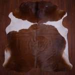 Aa Grade Nguni Hide 593 Brown white XL - Extra Large Brown white Panelled