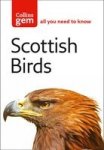 Scottish Birds Paperback