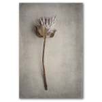 Everlasting 2 Art Print - A3 No Frame Print Only