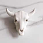 Cow Skull Medium - Gloss White