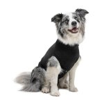 Suitical At Home Recovery Suit Dog