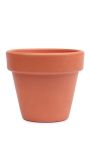Terracotta Pot - 10CM