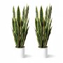 2 Pieces Of Artificial Plants Approximately 65 Centimeters Fake Sandwich Trees Perfect For Simulating Plant Pots Suitable For Courtyards Indoor And Outdoor Houses Homes