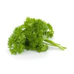 Parsley Curly Leaf 12CM Pot