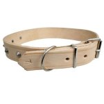 Collar Dog NO.7 30MM X 600MM