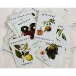 Fruit & Vegetable Cards Set Of 32