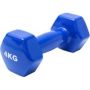 Weights 4KG Blue