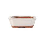 Assorted Glazed Bonsai Pots 7" - Ivory Rectangular 17 X 13 X 6CM