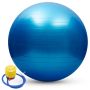 Oorslay Anti-burst Yoga Ball 65CM Blue Pvc Exercise Ball With Air Pump