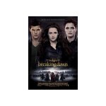 The Twilight Saga: Breaking Dawn - Part 2 Blu-ray Disc