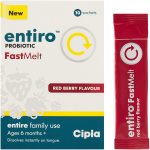Fastmelt 10'S - Red Berry