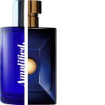 Versace - Dylan Blue Impression Amplified