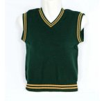 Prof Green And Gold School Pullover-unisex