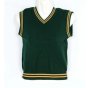 Prof Green And Gold School Pullover-unisex