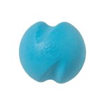 West Paw Jive Aqua Blue – Extra Small