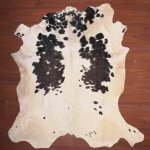 As Grade Nguni Hide 105 Tricolour XL - Extra Extra Large Tricolour Spotted