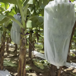 Grow Fruit Protect Banana 85X160-500
