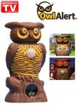 Owl Alert