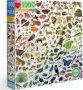 A Rainbow World Jigsaw Puzzle 1000 Piece