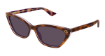 Gucci Sunglasses Womens In Havana Violet GG1815S-004 - Havana Onesize