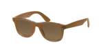 Men's Sunglasses