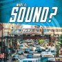 What Is Sound?   Paperback