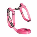 Rogz Catz Kiddycat H-harness And Lead Extra Small Pink Hearts Design Waggs Pet Shop