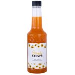 Syrups Passion Fruit Puree