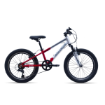 Avalanche Buzz 20