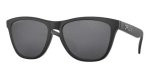 Oakley Frogskins Polarized