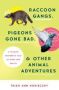 Raccoon Gangs Pigeons Gone Bad And Other Animal Adventures - A Wildlife Rehabber&  39 S Tale Of Birds And Beasts   Paperback