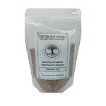 Umuthi Coriander Sprouting Seeds