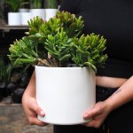 Emerson Pot - Matt Large - White Matt - 19CM