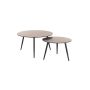 Fia Set Of 2 Stone Top Coffee Table - Black