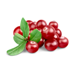 Cranberry Concentrate - 10ML