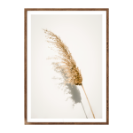Pampas Grass I Art Print - A4