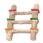 Sekelbos Bird Ladder 3 Step With Rawhide Pieces