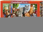 Castorland - House Of Cats Puzzle 2000 Pieces
