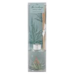 Natures Edition Room Diffuser Aloe Landscape 140ML