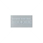 SECURI-PROD Spare Glass For FR02 75MM X 43MM Big