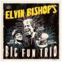 Elvin Bishop&  39 S Big Fun Trio   Cd