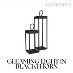 Gleaming Light In Blackthorn