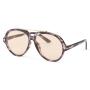 Brown Tort Classic Aviator Sunglasses