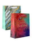 Set Of Two Decorative Gift Bags - None Happy Birthday